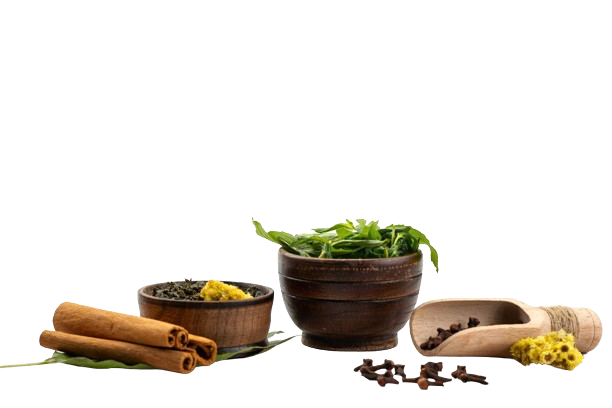 Ayurveda Services at House for Positive Change